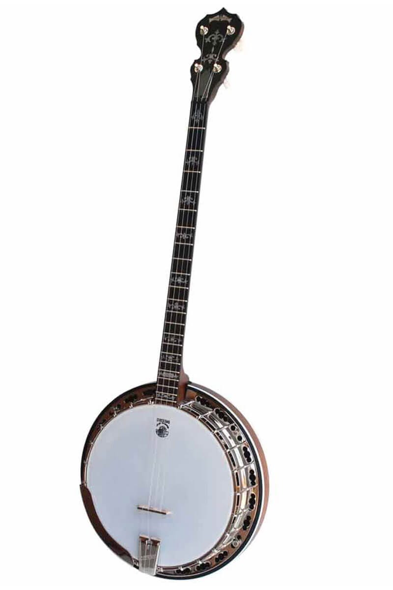 plectrum banjos